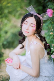 灯草花尚灯国语免费版